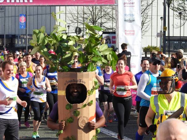 17761127_1693991227284366_4439673566262272787_o