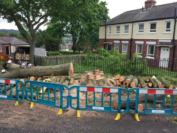 19023431_10155529015991042_986565403888533572_o