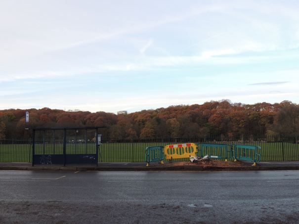 20247996_10155309444381013_5663758007359972632_o