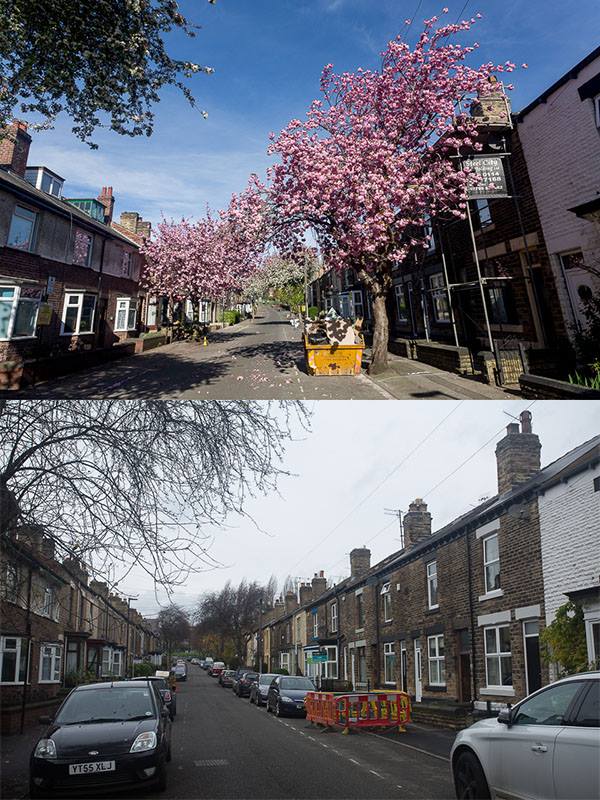 hawksley avenue, hillsborough