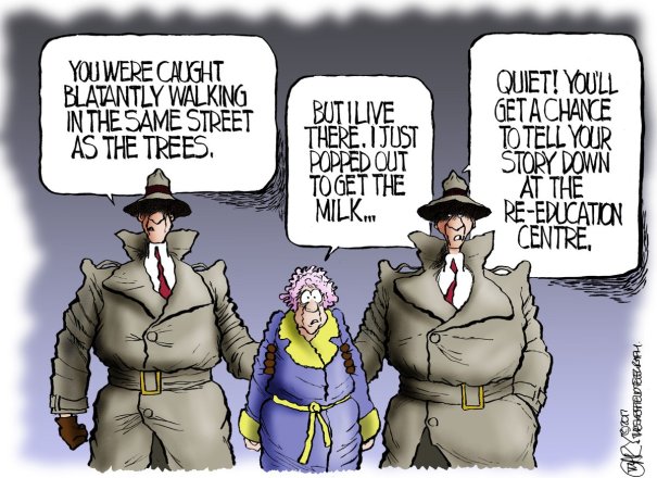 granny caught up in mess