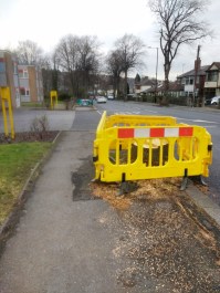 “Rivelin Valley Road lime avenue