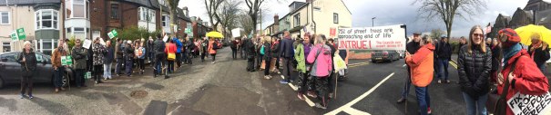 “200 gather to celebrate Western Road memorial trees